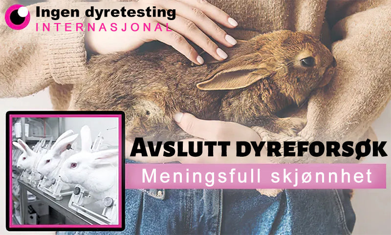 🐆Turoment™ Bie Gift Behandlingskrem (🔥Siste dag, 80 % rabatt)